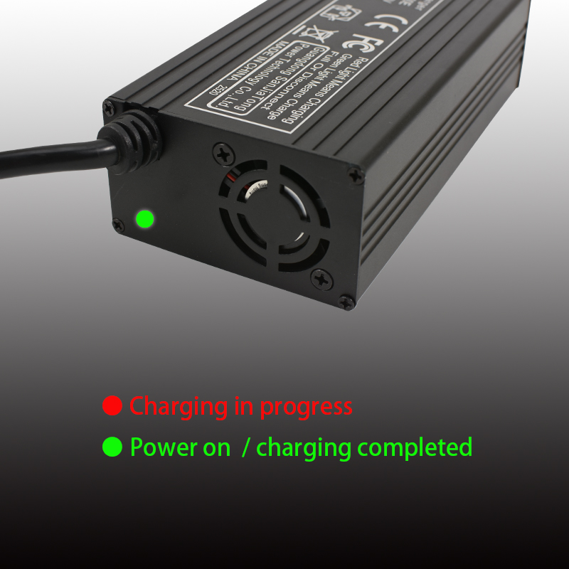 LiFepo4 Charger 3.65V 10A 7.3V - 84V 20A Smart Charger review and price